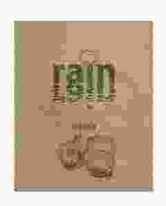 Dark Red Onion Seeds For Home Garden