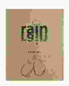 Brinjal Seeds For Home Garden