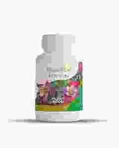 Rapid Grow Pastille NPK Slow Release Plant Food Tablets (100 g)