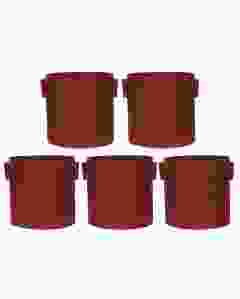 Divine Tree Fabric Grow Bags for Terrace Gardening, 10 Inch, 350 GSM, Set of 5 - Red