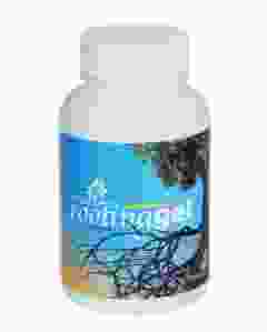 Rooting Gel and Hormone Stimulator for Stronger Roots | Fast Root Starter | Rapid Rooting Gel Best for Hardwood, Semi-hardwood and Softwood Plant Cutting (100 ml)