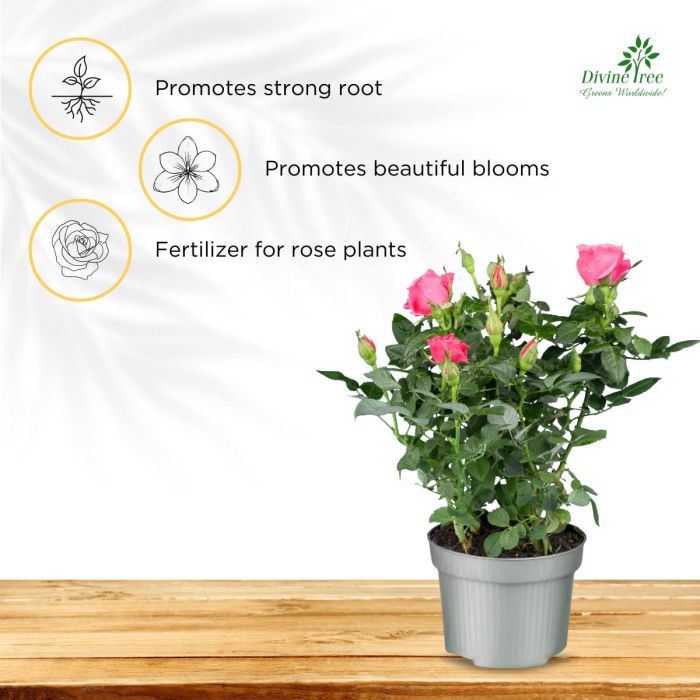 Rose Wonder Flower Fertilizer for Rose Plant 50 G