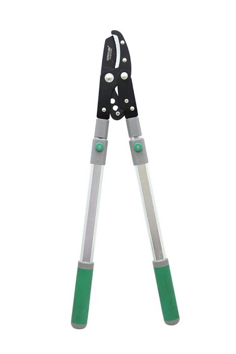 Tree top branch cutters