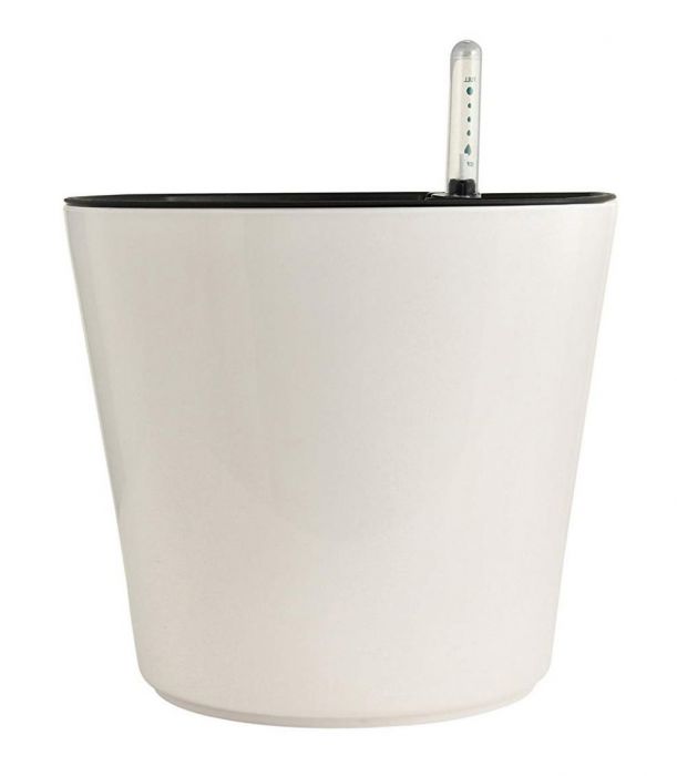 Big Ceramic Pot for Plants