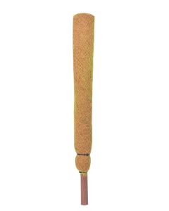 Coco Coir Pole Moss Stick for Climbing Money Plants (2 Ft)