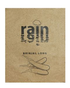 Brinjal Long Seeds For Home Garden