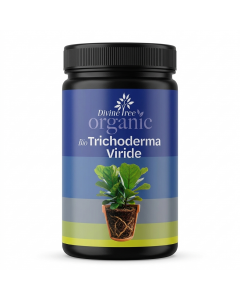 Trichoderma Viride Bio Fungicide & Organic Fertilizer for Plants, Soil Treatment Powder for Root Growth & Disease Protection, Home Gardening & Indoor Plants, 500g
