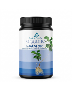 VAM Fertilizer for Plants – Root Growth Booster Mycorrhiza Bio Fertilizer (1200 IP/gm), Organic Plant Food for Indoor & Outdoor Plants, Improves Soil Health – 900g