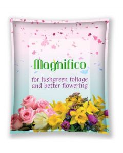 Magnifico Fertilizer for Flowering & Vegetable Plants (50 G)