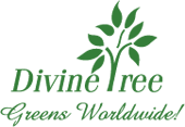 Divinetree