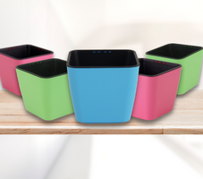 Pot and Plants